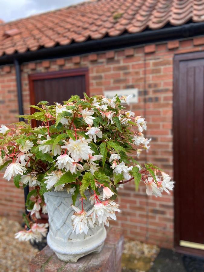 Willow Tree Cottages Newark upon Trent Eksteriør billede
